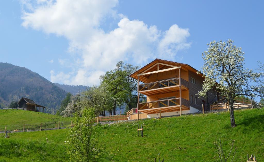 Steinbach am Ziehberg Ferienhaus Schwarzenbach מראה חיצוני תמונה